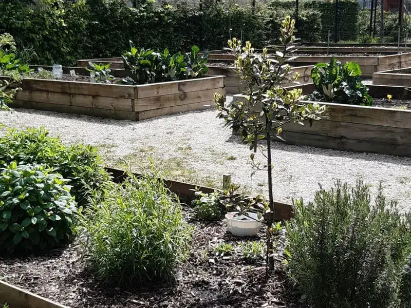 Square Beltrame