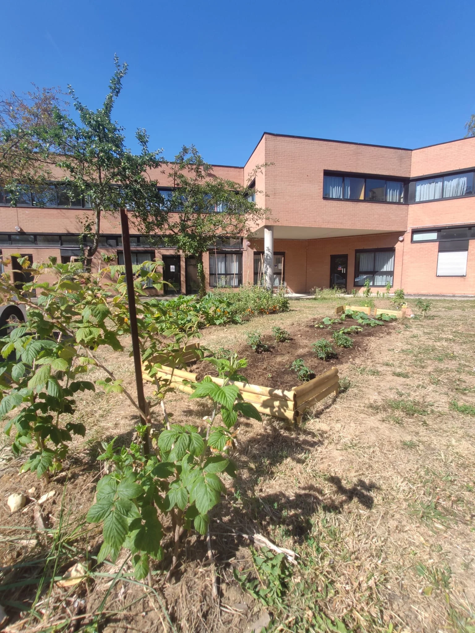 Collège Victor Hugo